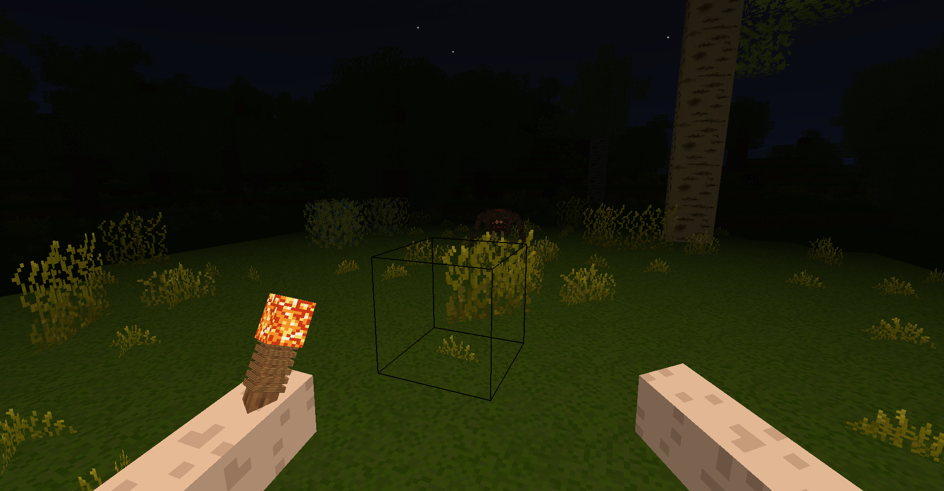 Encountering a spider at night by torchlight