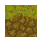 Overcoming Wilderness Logo